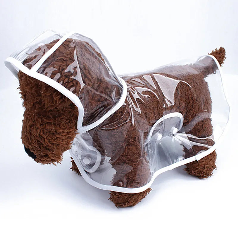 Impermeable transparente para perros