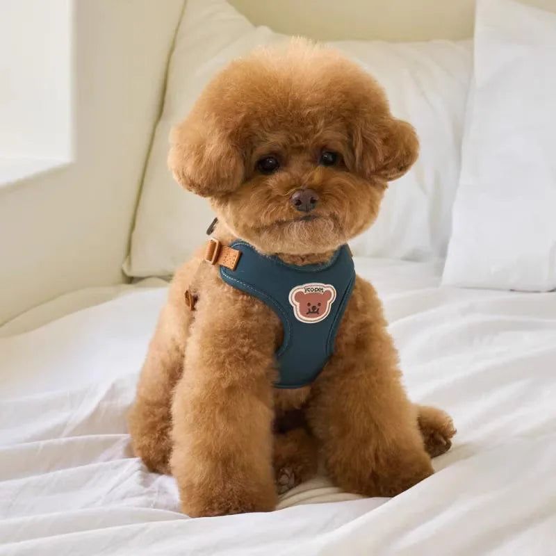 Conjunto de arnés y correa para mascotas con diseño de oso lindo