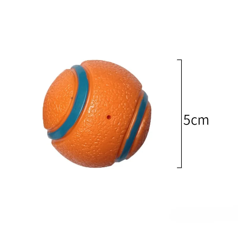 Dog Toy Ball