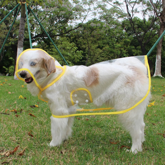 Impermeable transparente para perros