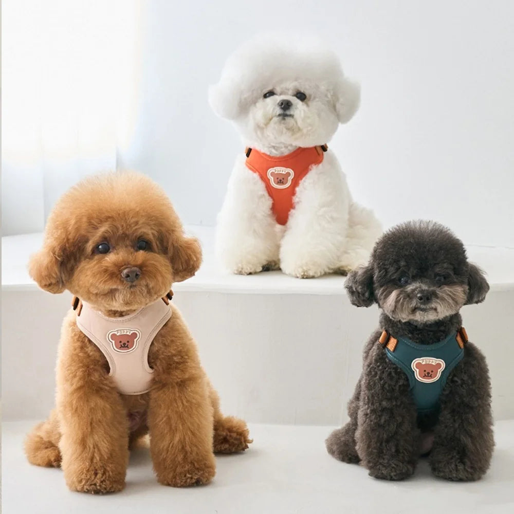 Conjunto de arnés y correa para mascotas con diseño de oso lindo