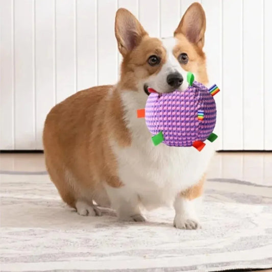 Pelota chirriante resistente a las mordeduras de perro