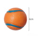 Dog Toy Ball